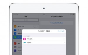 アップルSIM